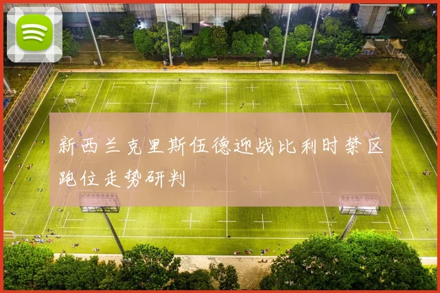 新西兰克里斯伍德迎战比利时禁区跑位走势研判