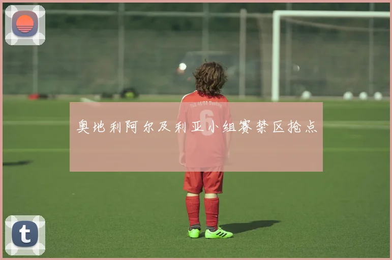 奥地利阿尔及利亚小组赛禁区抢点