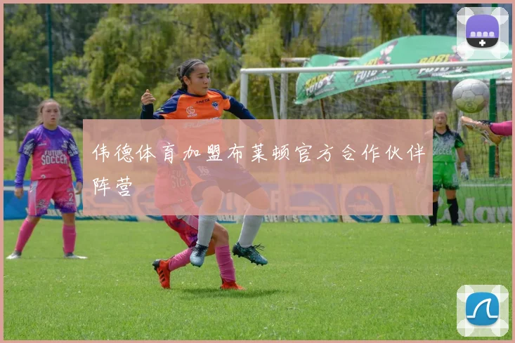 伟德体育加盟布莱顿官方合作伙伴阵营