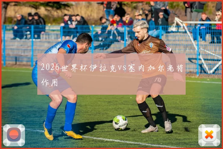 2026世界杯伊拉克vs塞内加尔老将作用