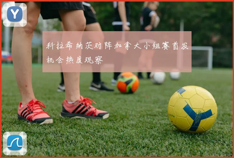 科拉希纳茨对阵加拿大小组赛首发机会热度观察