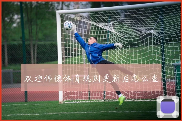 欢迎伟德体育规则更新后怎么查