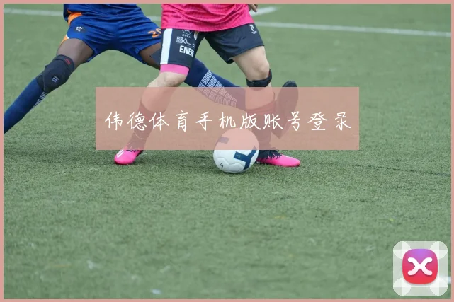 伟德体育手机版账号登录