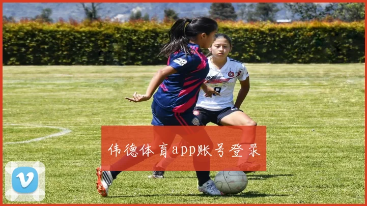 伟德体育app账号登录